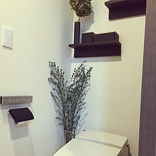 トイレ ドライフラワーのインテリア実例 Roomclip ルームクリップ トイレ ドライフラワーのインテリア実例 Roomclip ルームクリップ