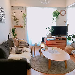 リビング/TVボード/一人暮らし/北欧/グリーンのある暮らし...などのインテリア実例 - 2017-01-14 10:43:53