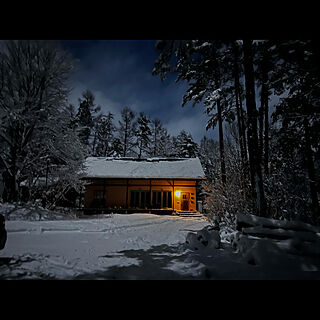 雪/月明かり/冬の庭/月光/季節を楽しむ...などのインテリア実例 - 2021-12-19 08:47:58