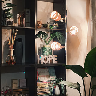 漫画 一人暮らしのインテリア レイアウト実例 Roomclip ルームクリップ