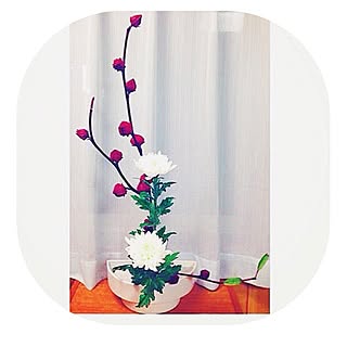 たてるかたちのインテリア実例 Roomclip ルームクリップ