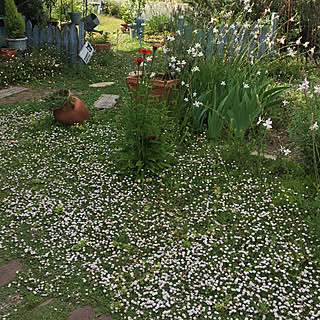 ナチュラルガーデン ガウラのインテリア実例 Roomclip ルームクリップ