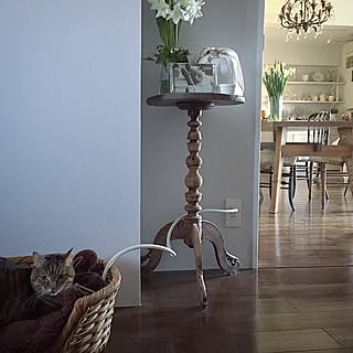 机/アンティークのインテリア実例 - 2015-01-12 12:28:54