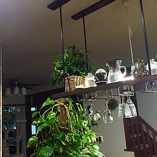 キッチン/階段/キャットタワー/ワイングラスホルダー/ワイングラス...などのインテリア実例 - 2016-04-07 17:55:00