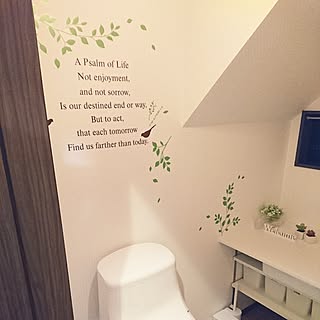 ウォールステッカー トイレの壁のインテリア実例 Roomclip ルームクリップ ウォールステッカー トイレの壁のインテリア実例 Roomclip ルームクリップ