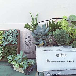 小牧雑貨屋のインテリア実例 Roomclip ルームクリップ