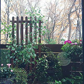 雑木林を借景のインテリア実例 Roomclip ルームクリップ