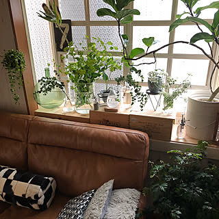 部屋全体/いいね!押し逃げばかりでごめんなさい。/コメントお気遣いなく/自分らしく/出窓ディスプレイ...などのインテリア実例 - 2018-05-08 09:30:16