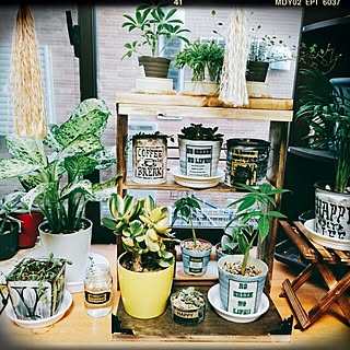 部屋全体/手作り/Insta→SOYURU-MAMA/ライクミックス/インテリアじゃなくてごめんなさい(汗)...などのインテリア実例 - 2016-06-23 18:49:33