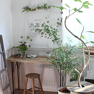 グリーンエレガンスアラレアのインテリア実例 Roomclip ルームクリップ