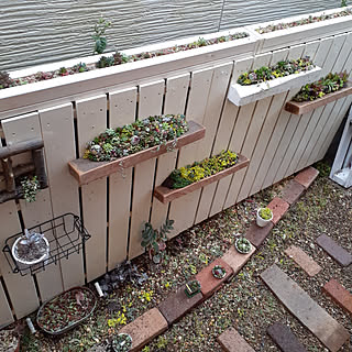 棚 多肉花壇のインテリア実例 Roomclip ルームクリップ