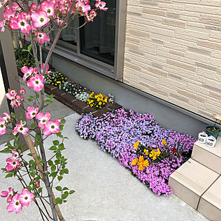花壇 芝桜のインテリア実例 Roomclip ルームクリップ