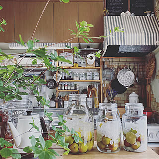 ニトリ 梅仕事のインテリア実例 Roomclip ルームクリップ