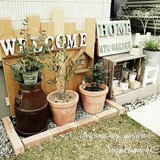 オリーブ ユーカリのインテリア実例 Roomclip ルームクリップ