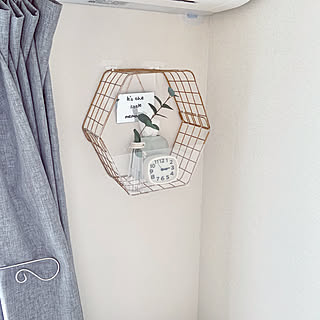 ワイヤーネットDIY/キャンドゥ/100均リメイク/プラ板/賃貸でも楽しく♪...などのインテリア実例 - 2020-02-10 11:52:57