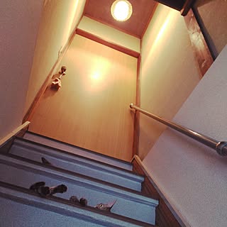 階段の照明 日本家屋のインテリア レイアウト実例 Roomclip ルームクリップ