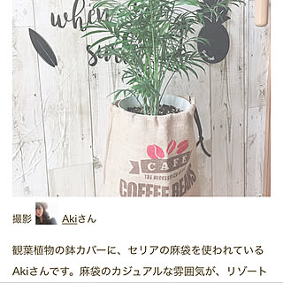 壁 天井 麻袋の鉢カバーのインテリア実例 Roomclip ルームクリップ