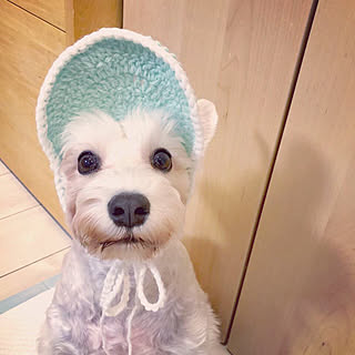 H M Home 横浜 みなとみらいのまとめページ Roomclip ルームクリップ H M Home 横浜 みなとみらいのまとめページ Roomclip ルームクリップ
