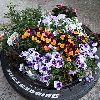 タイヤのプランターのインテリア実例 Roomclip ルームクリップ