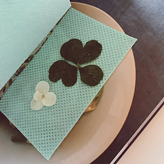 クローバー 押し花のおしゃれなアレンジ 飾り方のインテリア実例 Roomclip ルームクリップ