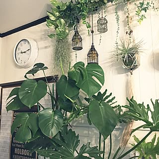 壁/天井/いつもいいねやコメありがとうございます♡/いいね!押し逃げばかりでごめんなさい。/DIY/一人暮らし...などのインテリア実例 - 2017-02-01 09:19:10