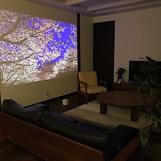 家でお花見のインテリア実例 Roomclip ルームクリップ