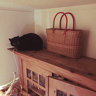 猫のいる日常/アンティークかごバッグ/暮らしの一コマ/アンティークカップボードキャビネット/二住生活...などのインテリア実例 - 2018-02-26 22:06:53