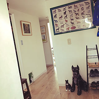 犬の置物のおしゃれなアレンジ・飾り方のインテリア実例 | RoomClip ...