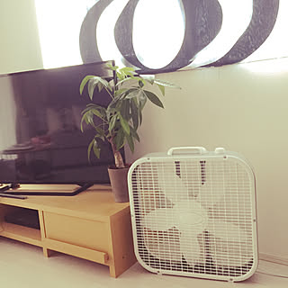 リビング/DULTON/LASKO BOX FAN/LASKO/サーキュレーター...などのインテリア実例 - 2018-08-20 11:01:37