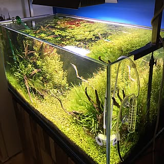 Ada 90cm水槽のインテリア実例 Roomclip ルームクリップ