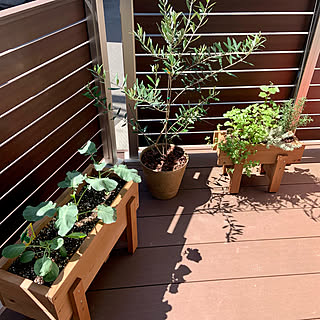 ネバディロブランコのインテリア実例 Roomclip ルームクリップ