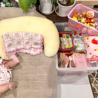 リビング/観葉植物/ソファー/授乳クッション/スリーパー...などのインテリア実例 - 2018-11-24 12:15:26
