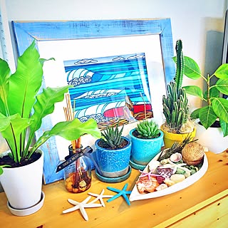 カリフォルニア風/西海岸/観葉植物/多肉植物/西海岸インテリア...などのインテリア実例 - 2016-02-13 12:46:35