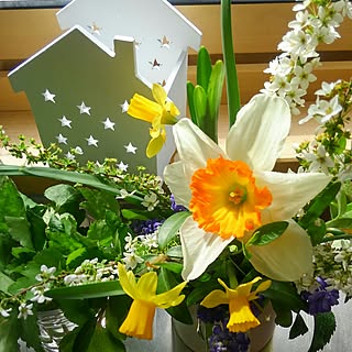 グリーンのある暮らし♡/小鳥のさえずりが心地い〜♪/水仙 雪柳 ムスカリ/三つ葉/緑と黄色が好き☆...などのインテリア実例 - 2017-03-23 13:45:29