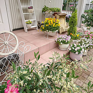 マーガレット 花のある暮らし のインテリア実例 Roomclip ルームクリップ