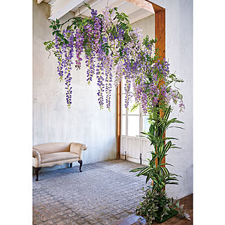 藤の花のインテリア実例 Roomclip ルームクリップ 藤の花のインテリア実例 Roomclip ルームクリップ