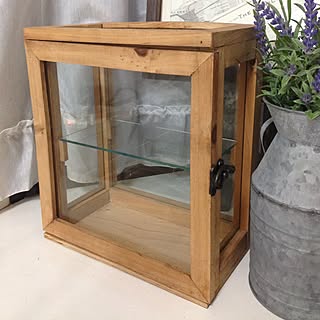 リビング/古道具愛♡/リメイク予定です(^^)/憧れのガラスケース/リサイクルショップ戦利品のインテリア実例 - 2015-01-04 16:59:10