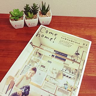 部屋全体/Comehome!37/キャンドゥのフェイク多肉/100均/キャンドゥのインテリア実例 - 2014-08-22 20:32:03