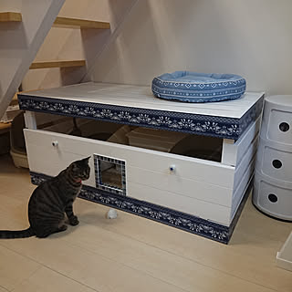 玄関/入り口/脱ねがてぃ部 公認サポーター/きいちゃんの友達/はるくん/めいちゃん...などのインテリア実例 - 2019-10-22 21:18:02