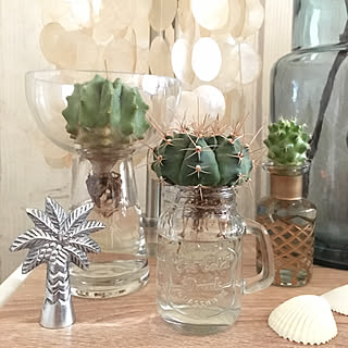 バス/トイレ/日替わり投稿企画!木曜日/植物/カリフォルニアスタイル/ビーチハウス風...などのインテリア実例 - 2017-07-27 14:09:51