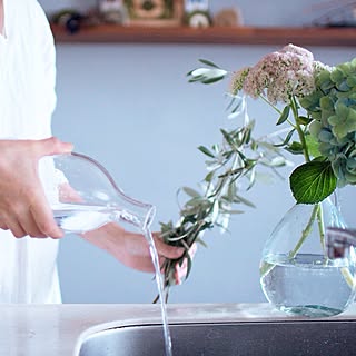 キッチン/セダム/オリーブの枝/花のある暮らし/紫陽花...などのインテリア実例 - 2015-09-05 08:16:29