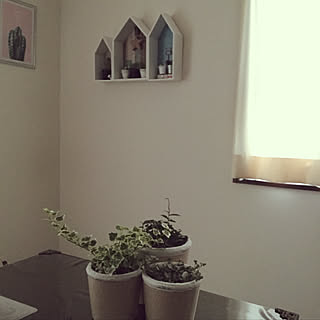暮らしの一コマ/観葉植物/ニトリ/いいね、フォロー本当に感謝です♡/10000人の暮らし...などのインテリア実例 - 2018-03-18 20:14:23