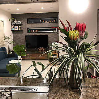 フランフラン造花のインテリア実例 Roomclip ルームクリップ