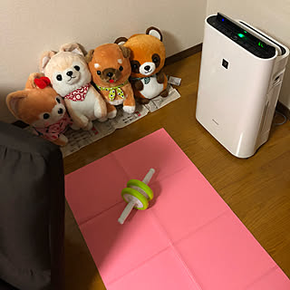 女性の、1LDK、カップル住まいの「部屋全体」についてのインテリア実例