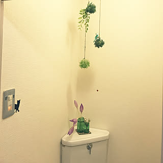 チョーヤ梅酒の瓶のインテリア実例 Roomclip ルームクリップ チョーヤ梅酒の瓶のインテリア実例 Roomclip ルームクリップ