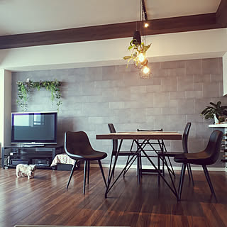 ウォールナット家具 エコカラットの壁のおしゃれなアレンジ 飾り方のインテリア実例 Roomclip ルームクリップ