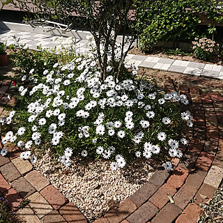 小さな庭 庭diyのインテリア 手作りの実例 Roomclip ルームクリップ