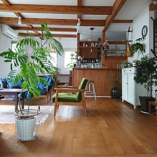 男性の、、家族住まいの「リビング」についてのインテリア実例