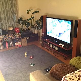 リビング/観葉植物/ソファ/雑貨/シンプルライフのインテリア実例 - 2013-10-29 00:07:34