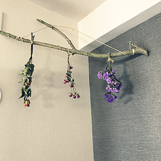 0円インテリア/制作費0円/流木ディスプレイ/流木インテリア/流木...などのインテリア実例 - 2020-02-24 14:37:54